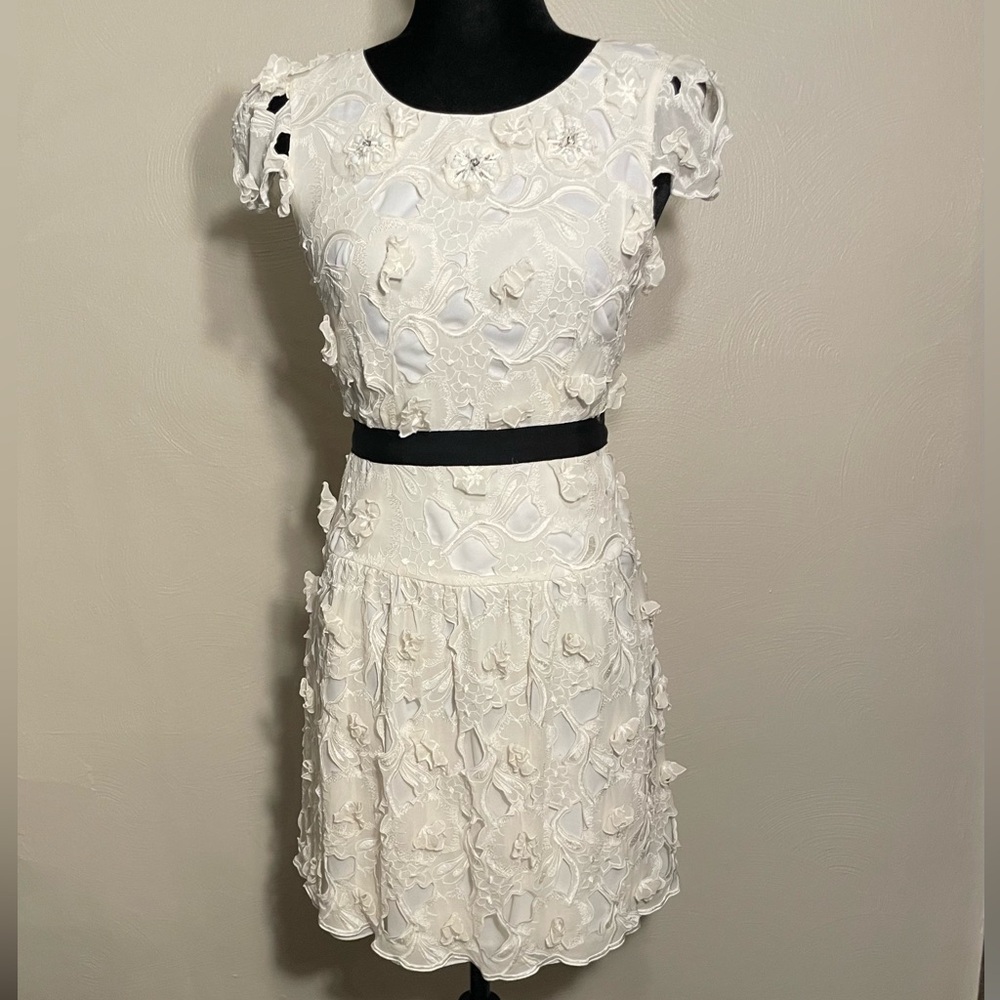BCBGMaxAzria Embrodiered Off White Mini Dress 02